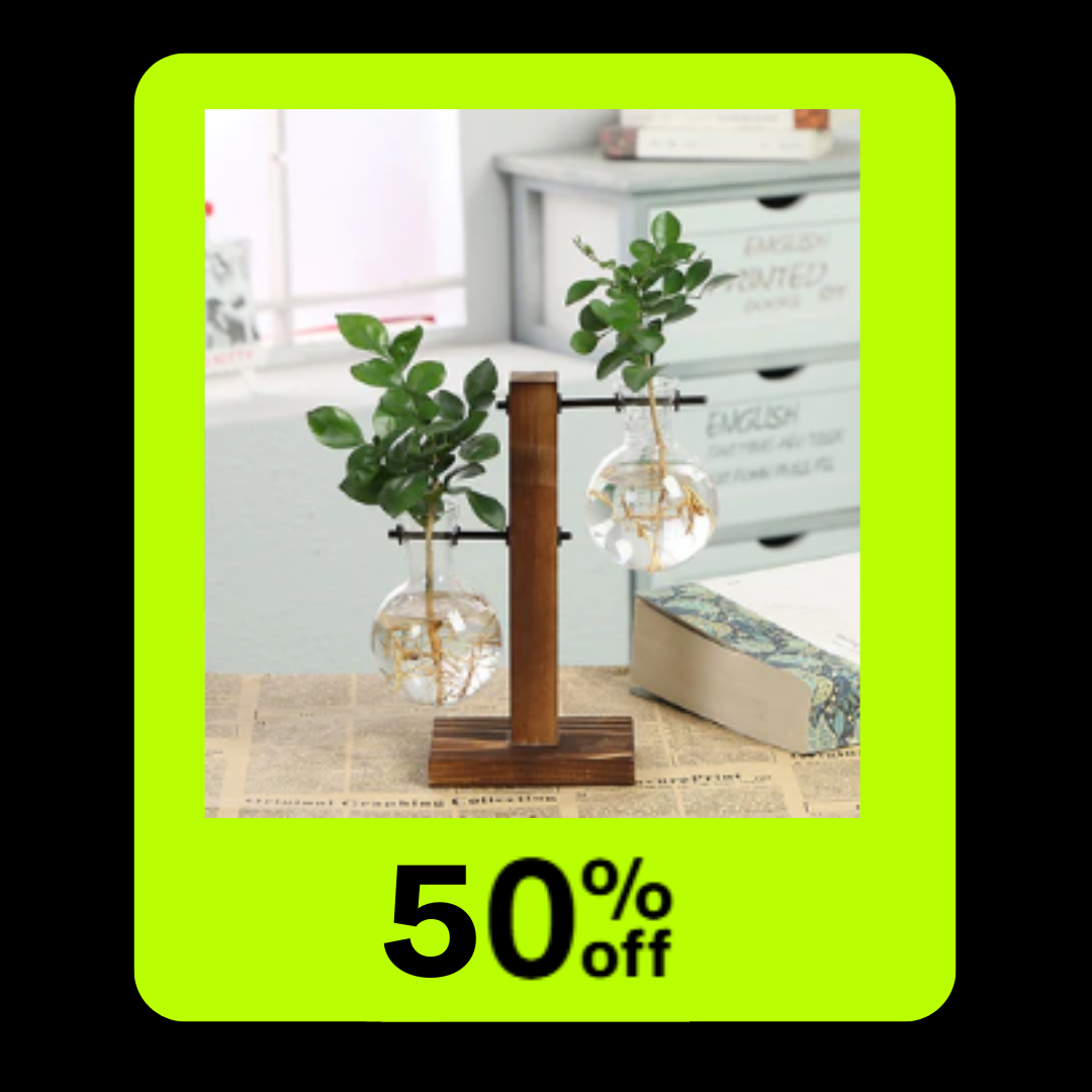 Hydroponic Transparent Plant Vases