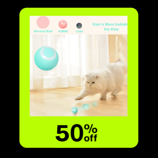 Smart Cat Ball Toys